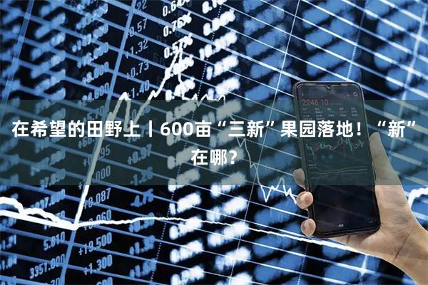 在希望的田野上丨600亩“三新”果园落地！“新”在哪？