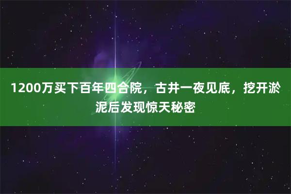 1200万买下百年四合院，古井一夜见底，挖开淤泥后发现惊天秘密