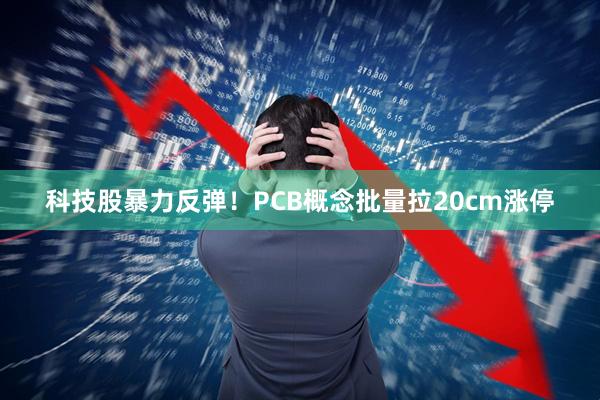 科技股暴力反弹!PCB概念批量拉20cm涨停